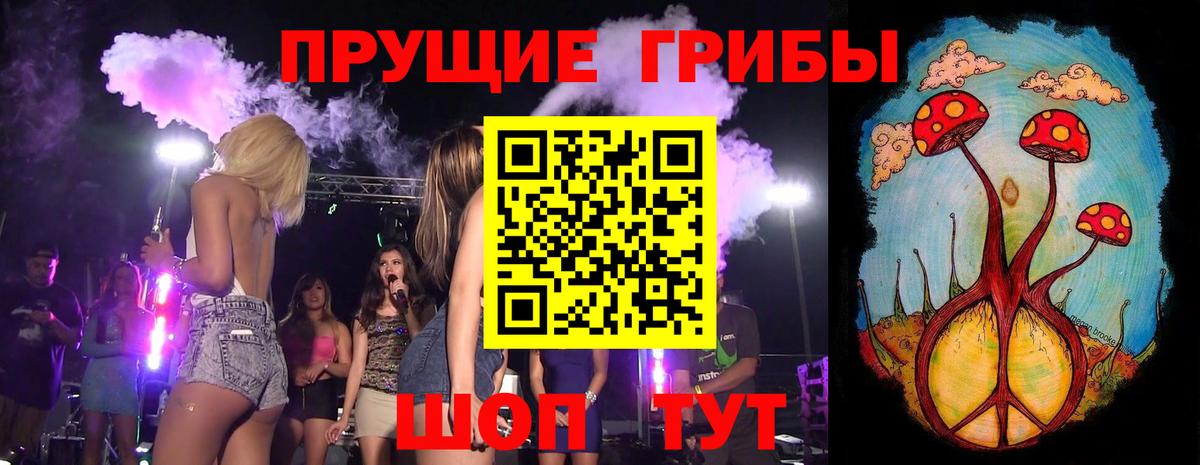 Псилоцибиновые грибы мухоморы  Вход с VPN  купить наркоту  Гусь-Хрустальный  Псилоцибиновые грибы мухоморы 